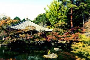 醍醐寺