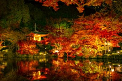 京都 醍醐寺 紅葉 ライトアップ