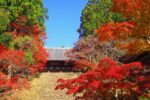 京都 神護寺 紅葉