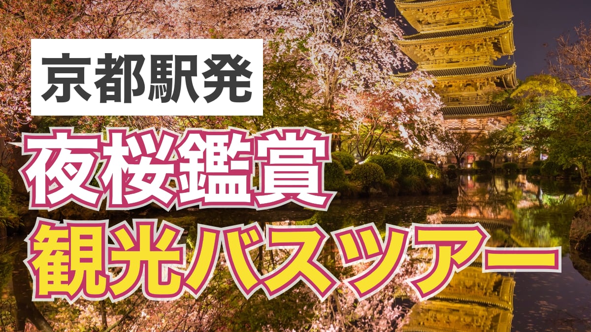 京都駅発の夜桜ライトアップ観光バスツアー記事のサムネイル