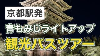 京都駅発 青もみじ巡りライトアップ観光バスツアーの記事のサムネイル
