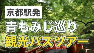 京都駅発 青もみじ巡り観光バスツアーの記事のサムネイル