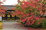 醍醐寺 三宝院 唐門