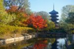 東寺 紅葉